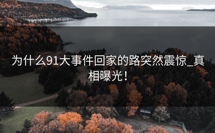 为什么91大事件回家的路突然震惊_真相曝光！