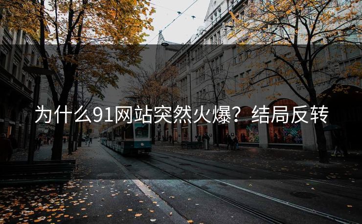 为什么91网站突然火爆？结局反转
