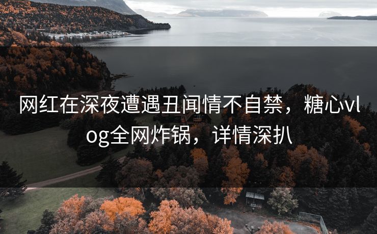网红在深夜遭遇丑闻情不自禁,糖心vlog全网炸锅,详情深扒