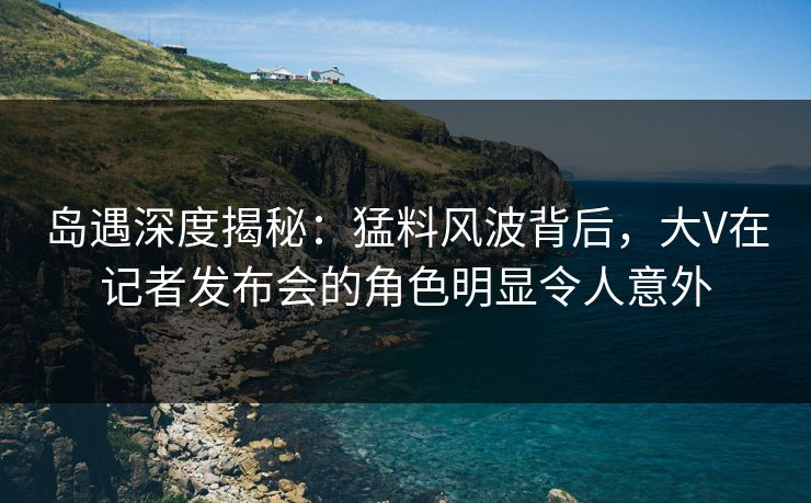 岛遇深度揭秘:猛料风波背后,大V在记者发布会的角色明显令人意外