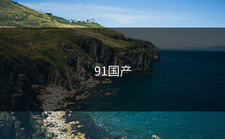 91国产 91国产