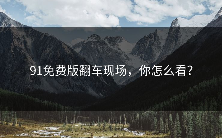 91免费版翻车现场，你怎么看？