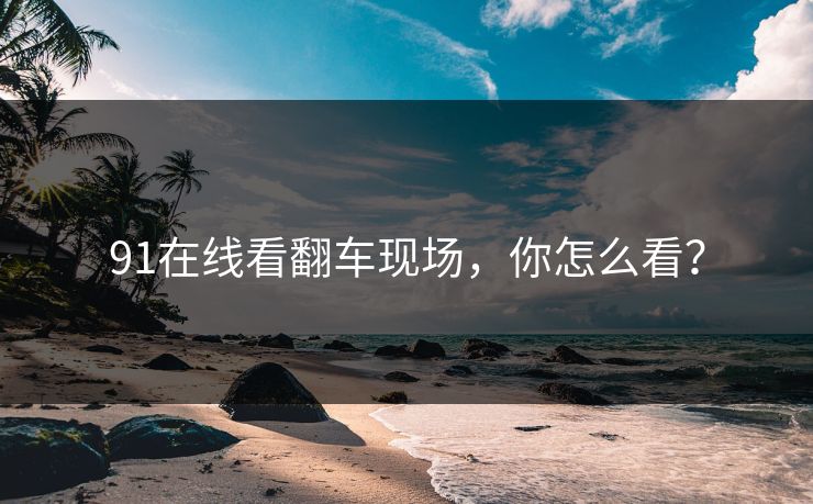 91在线看翻车现场，你怎么看？