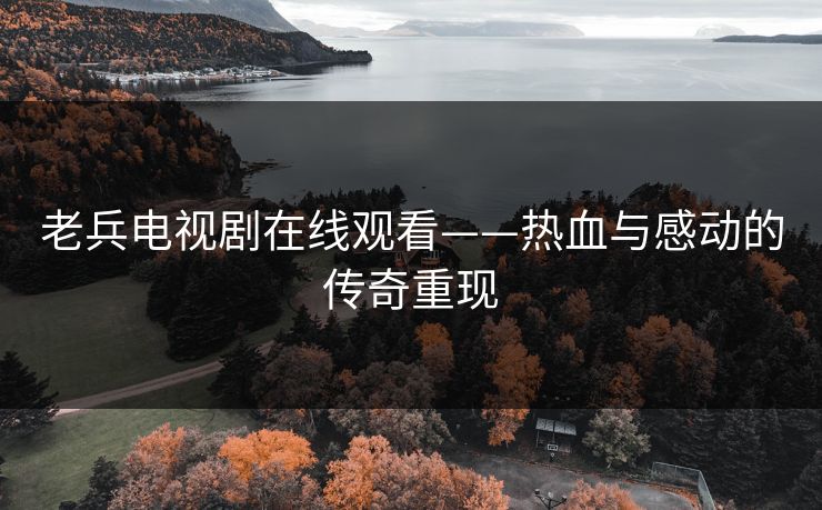 老兵电视剧在线观看——热血与感动的传奇重现